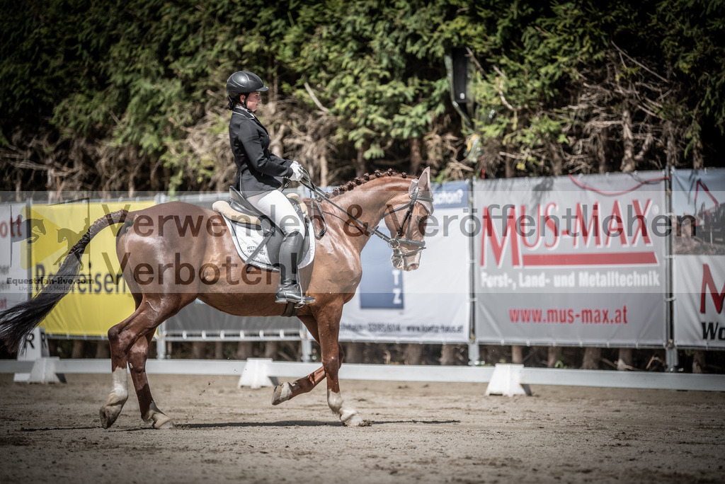 DSC_2985 | equestrian-live-com