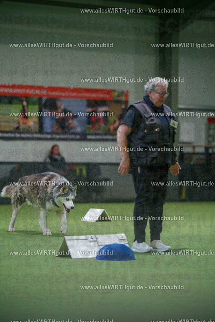 7R504369 | Professionelle Tierfotografie in Mönchengladbach von Daniel Wirth (allesWIRTHgut). Liebevolle & natürliche Bilder von Hunden & Katzen für unvergessliche Erinnerungen.