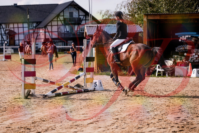 2026_10_03_Siefer-Hof_143534_Z81_04242501 | Professionelle Reitsport-, Turnier- und Eventfotografie von Robert Broda. Galerien mit ausgewählten und bearbeiteten Bildern direkt online ansehen und bestellen.
