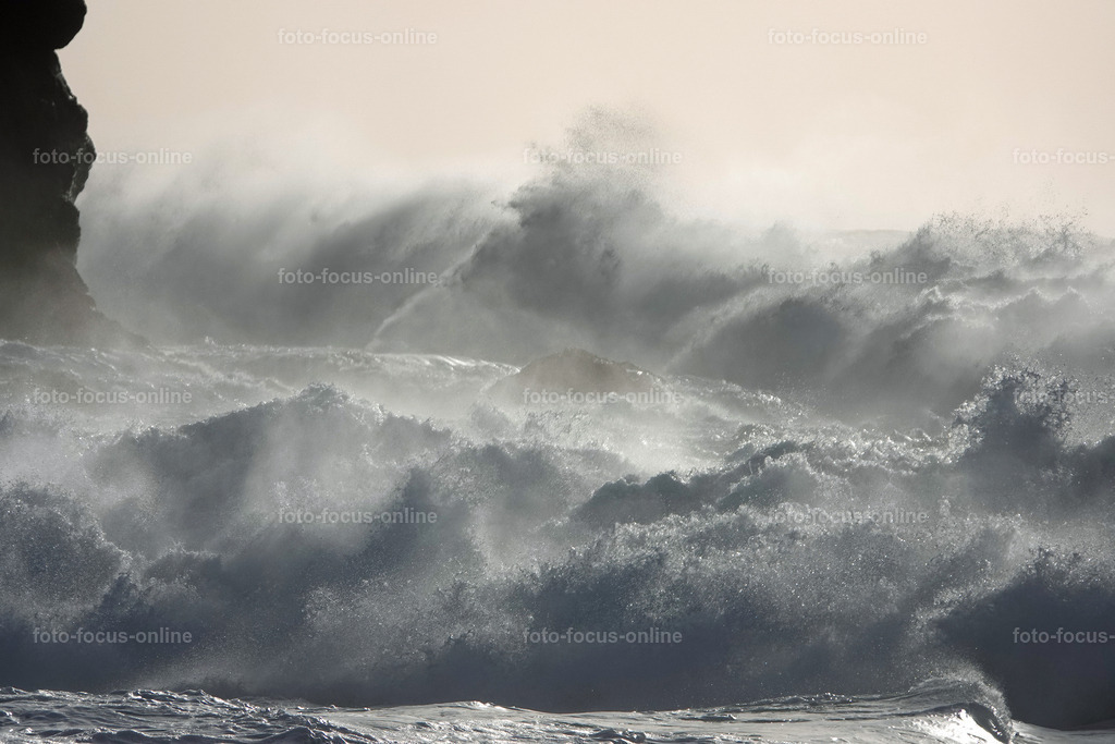 Wild Waves | Wild Waves Atlantic