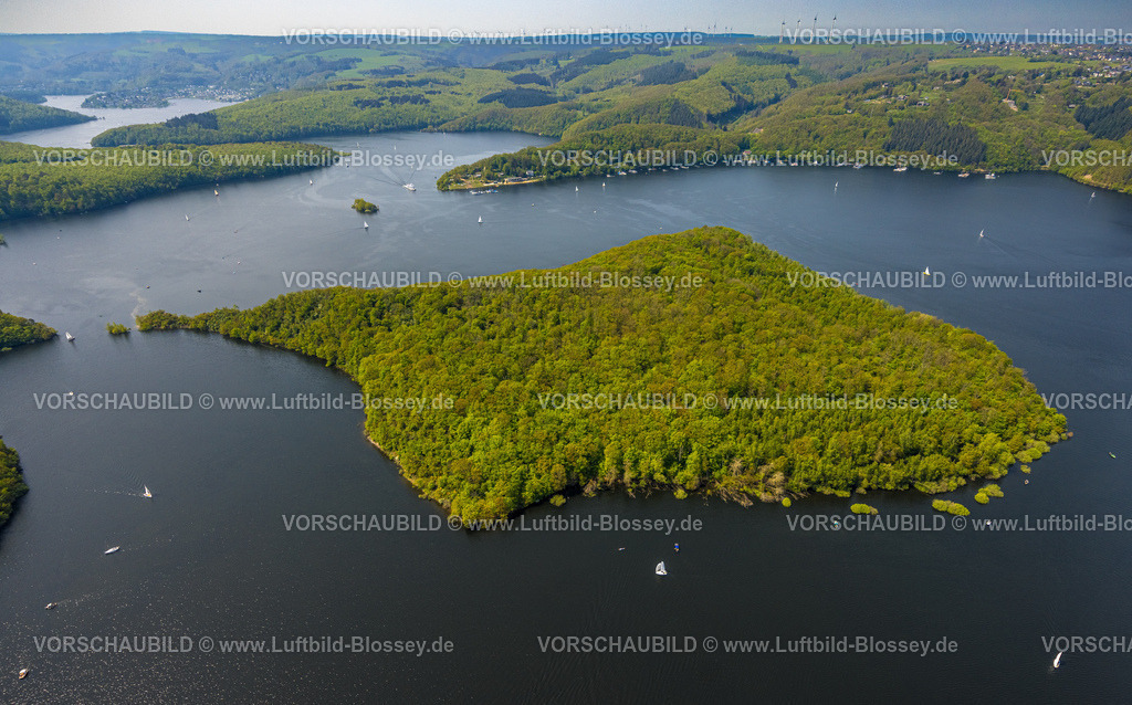 Heimrath240501891Rursee | Luftbild, Rursee mit Insel Eichert, Rurtalsperre Schwammenauel und Rursee-Schifffahrt mit Segelbooten, Waldgebiet Hügel und Täler, Nationalpark Eifel, Hasenfeld, Heimbach, Nordrhein-Westfalen, Deutschland