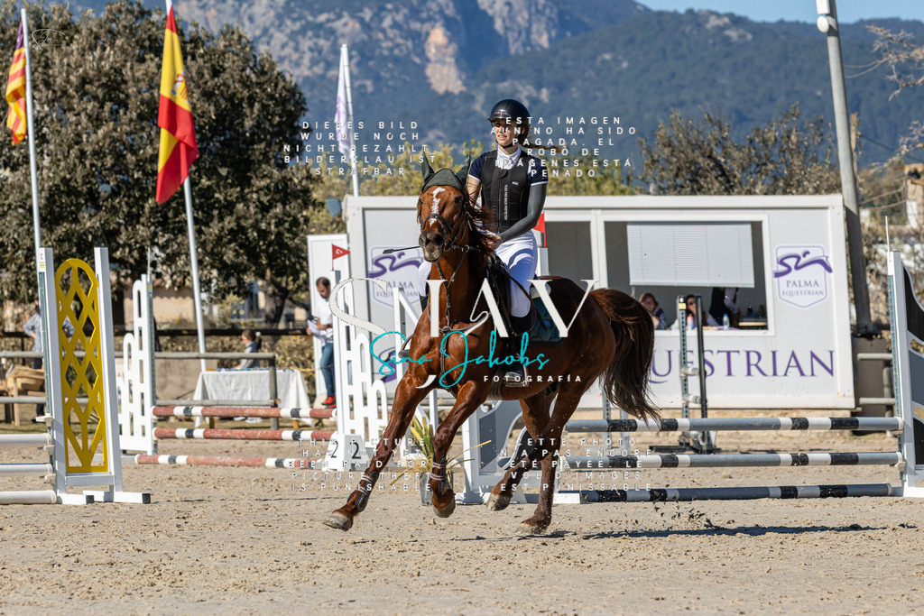 IMG_8818 | s-jay-photography - Realisiert mit Pictrs.com