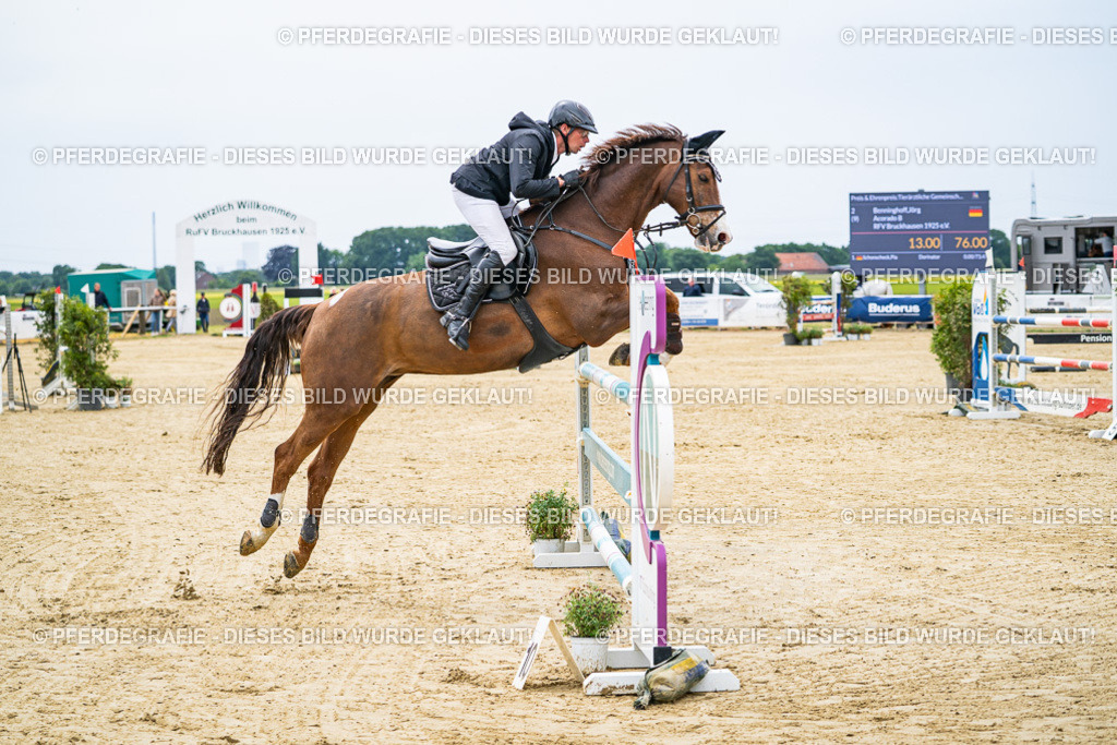 DSC06593 | Pferdegrafie