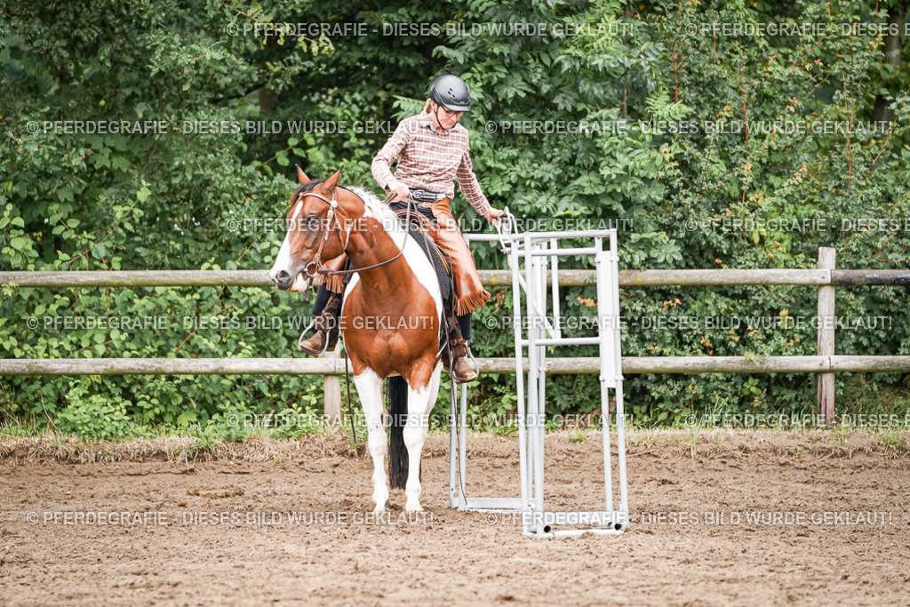 DSC04059 | Pferdegrafie