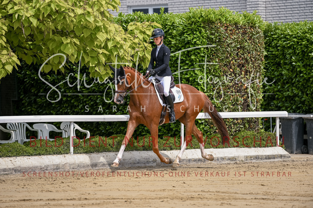 Schugtsche-Aluta25-48.Reitpferfdeprf.-112 | Schugtsche Fotografie - Realisiert mit Pictrs.com