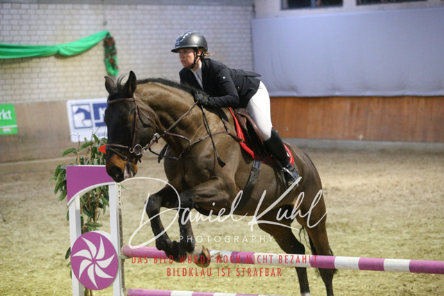 IMG_0785 | Deine Turnierfotos vom Reitturnier online kaufen: Dressur, Springen & Siegerehrung. Professionelle Pferdefotografie aus dem Rheinland – als Download & Print.Alternative: Turnierfotograf für den Pferdesport: Finde deine Fotos von Dressur- und Springturnier