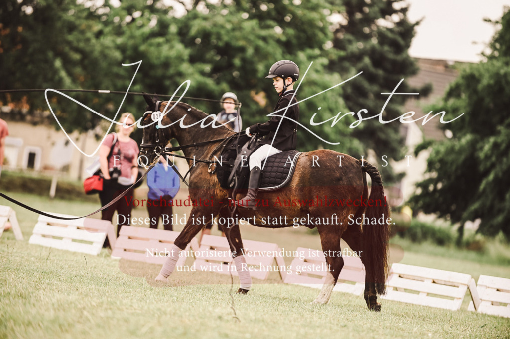 DSC_5292 | Pferde- und Turnierfotografie in Westsachsen. Pferdeportraits, Auftragszeichnungen und intuitive Kunst.