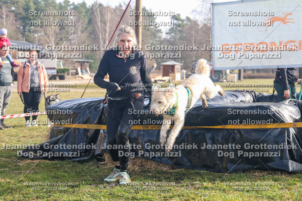 Dog Paparazzi - Strongdog North Mrz26-258 | Dog Paparazzi Jeanette Grottendiek Fotografie & Videografie - Realisiert mit Pictrs.com