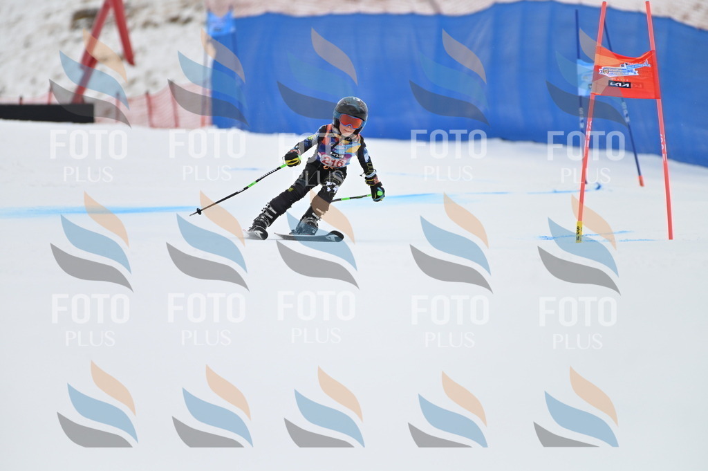 BGV_2768 | holidayphoto