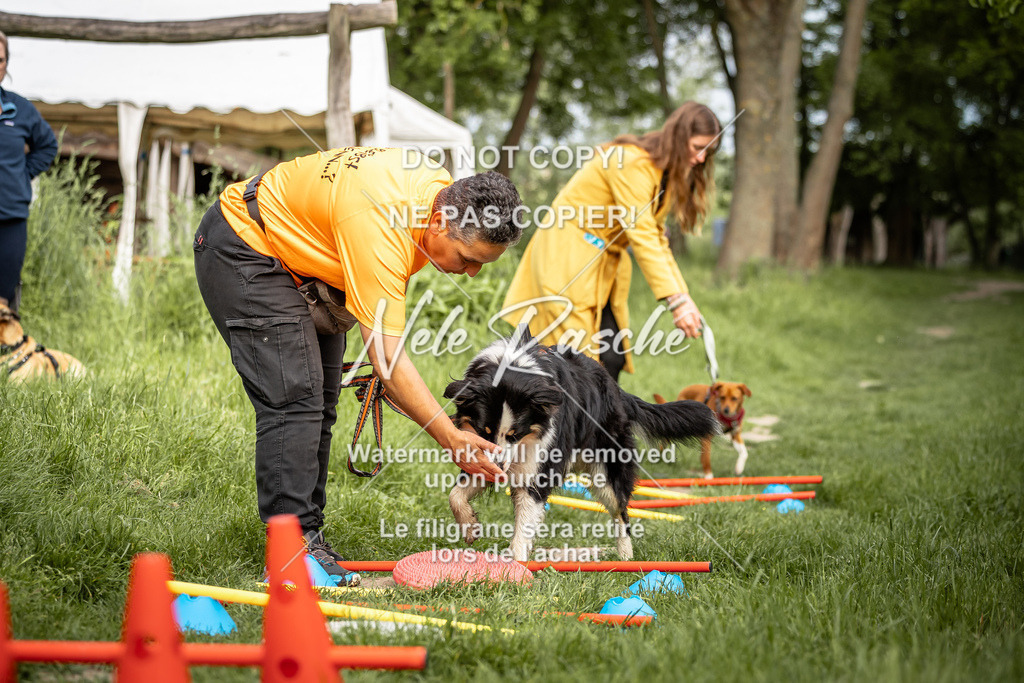 nelerasche_So-earlydog_56 | nelerasche