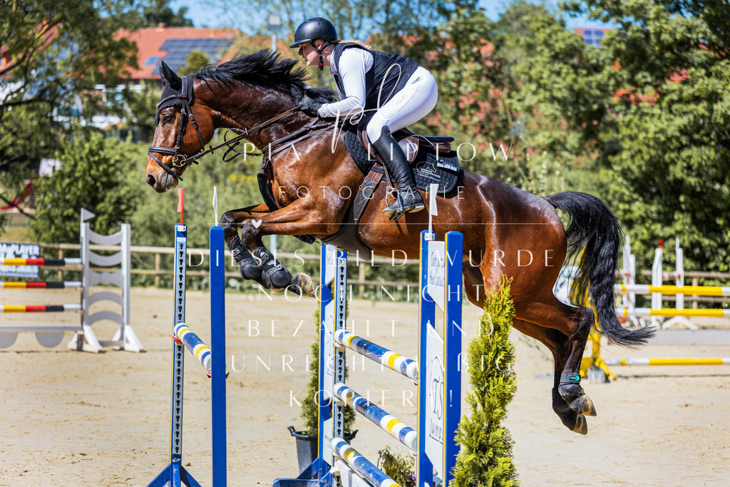 IMGS9811 | pl-fotografie