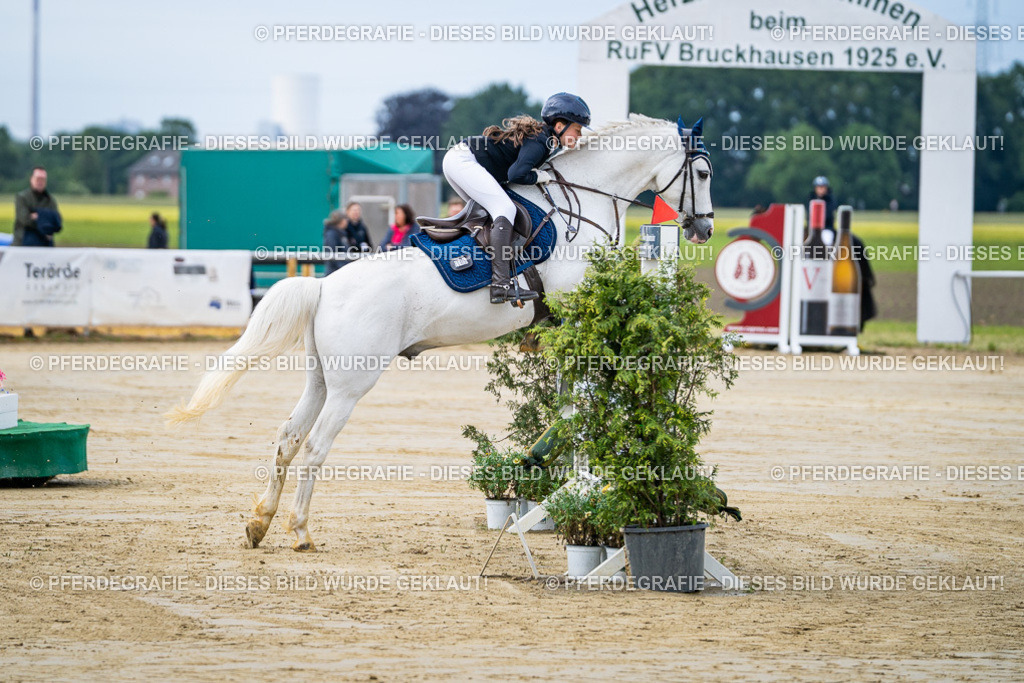 DSC03275 | Pferdegrafie