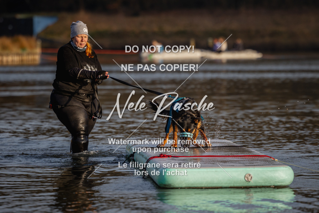 nelerasche_Hulsbeek_Sa1700-1730_161 | nelerasche