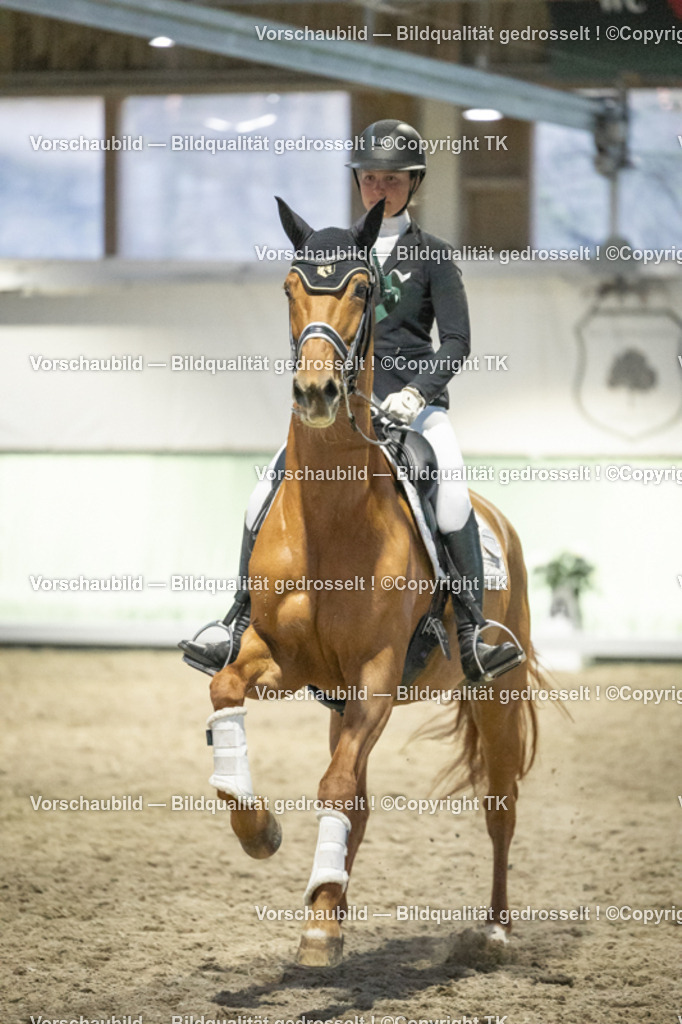 _D5A3833 | Emotionale Pferde- & People-Fotografie rund um Heidelberg, Leimen & Umgebung. Natürliche Fotos von Pferd, Mensch & Familie. Jetzt Termin sichern!