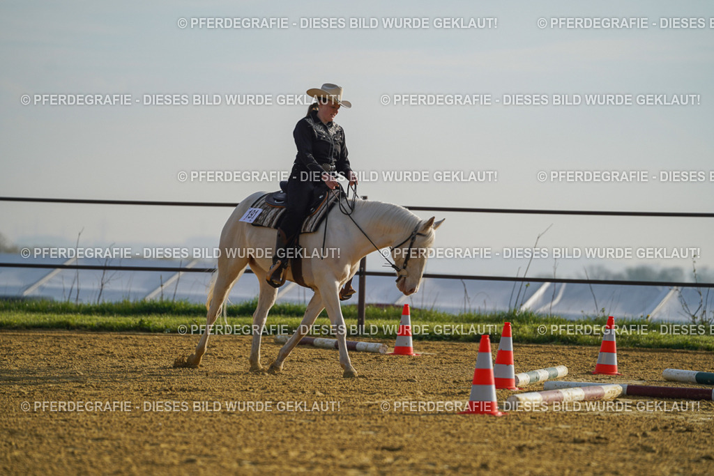 DSC00064 | Pferdegrafie