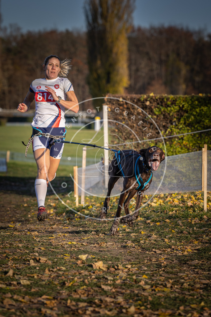 CaniXpix_DV3A3108 | Hundefotografie, Tierfotograf, Pfotenfotografie, Fotoshooting Hund, Hunde Portrait, Hundesport, Hundeportraits, Heideshooting, Hunde, Sportfotograf, Hundefotograf, Turnierhundsport, THS,  - Realisiert mit Pictrs.com