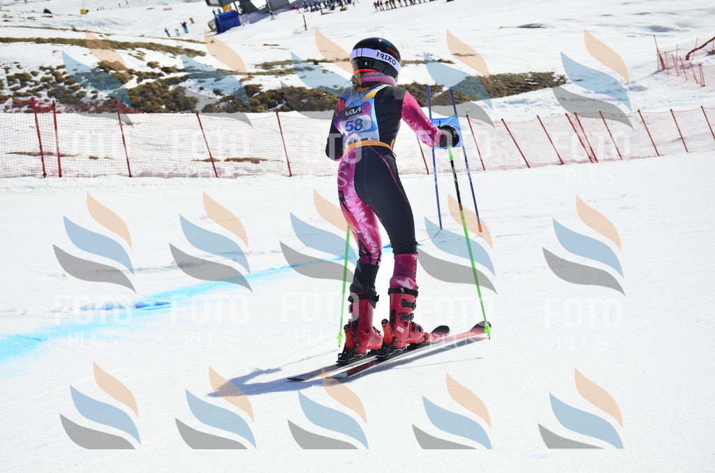 _ELE0216 | holidayphoto