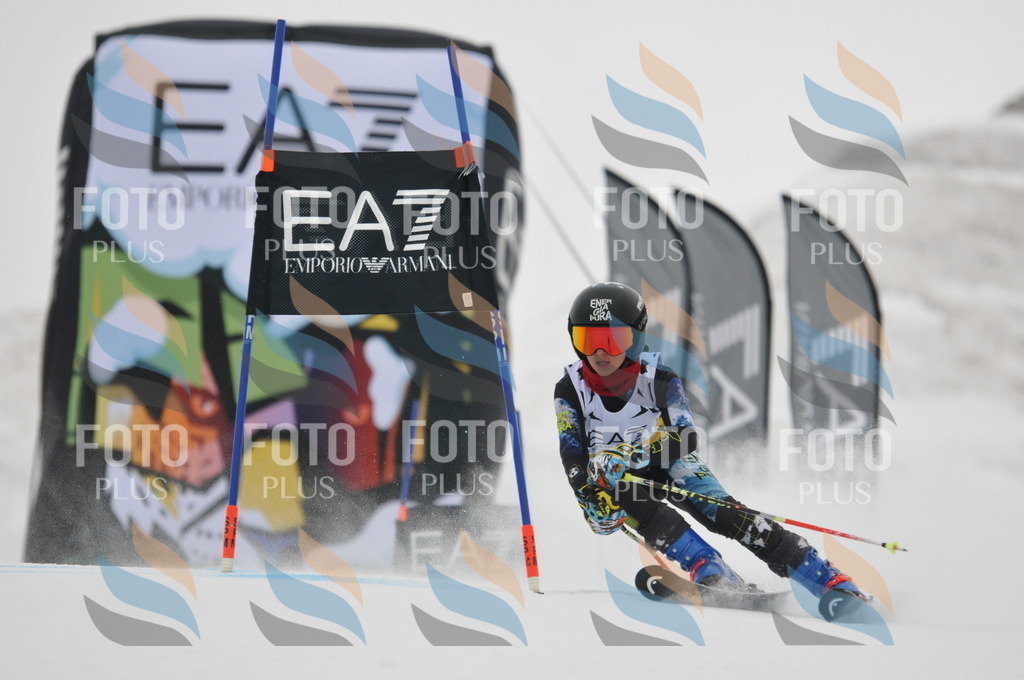 DSC_8207 | holidayphoto