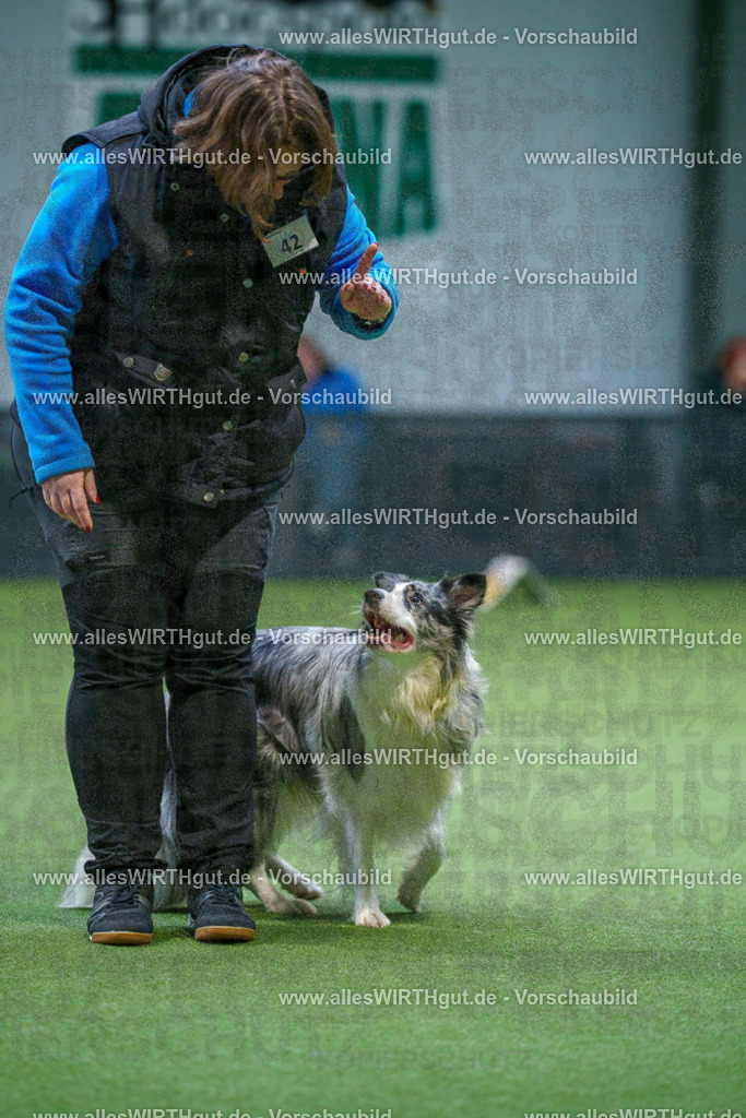 7R506297 | Professionelle Tierfotografie in Mönchengladbach von Daniel Wirth (allesWIRTHgut). Liebevolle & natürliche Bilder von Hunden & Katzen für unvergessliche Erinnerungen.