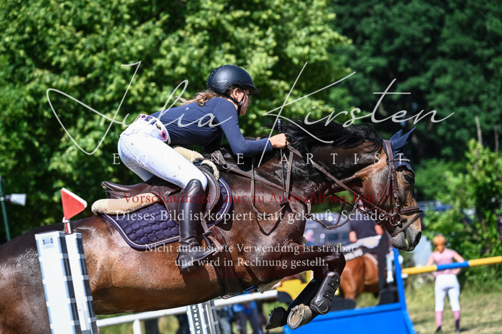 DSC_1304 | Pferde- und Turnierfotografie in Westsachsen. Pferdeportraits, Auftragszeichnungen und intuitive Kunst.