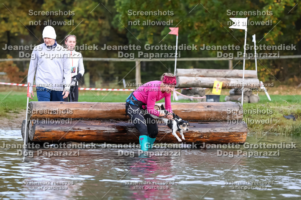 Dog Paparazzi - Strongdog 10-25-6794 | Dog Paparazzi Jeanette Grottendiek Fotografie & Videografie - Realisiert mit Pictrs.com