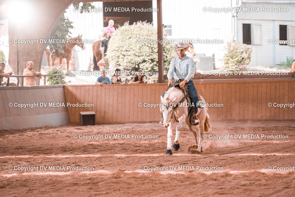 NE300773 | dv-media-shop - Realisiert mit Pictrs.com