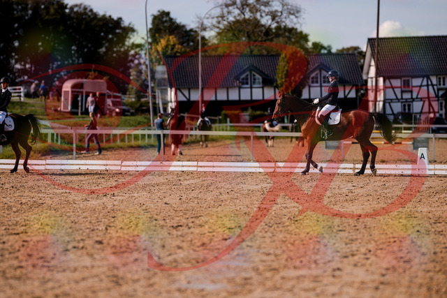 2026_10_03_Siefer-Hof_130852_Z81_62228363 | Professionelle Reitsport-, Turnier- und Eventfotografie von Robert Broda. Galerien mit ausgewählten und bearbeiteten Bildern direkt online ansehen und bestellen.