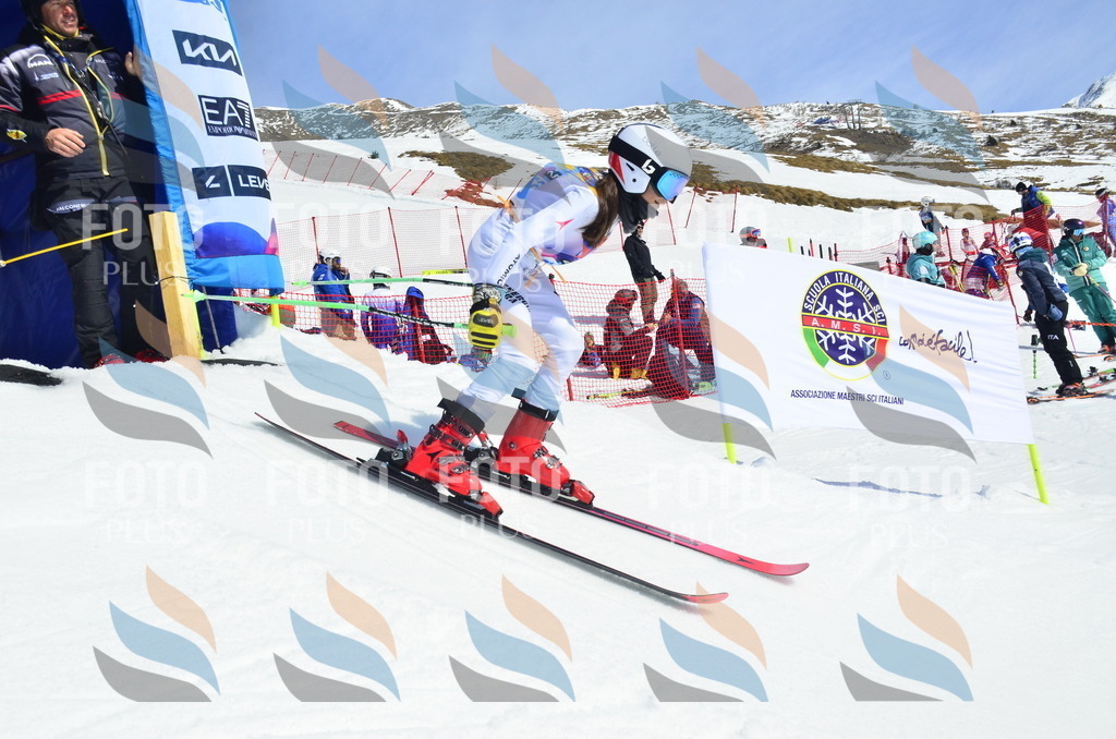 _ELE1114 | holidayphoto