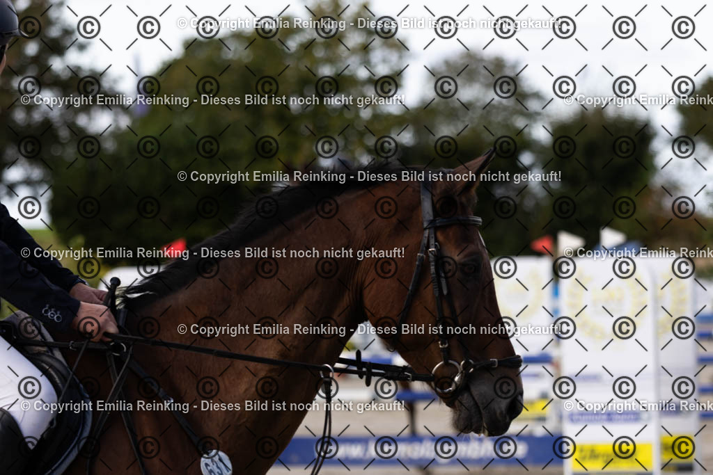 CL5A2260 | Emilia Reinking Fotografie - Realisiert mit Pictrs.com