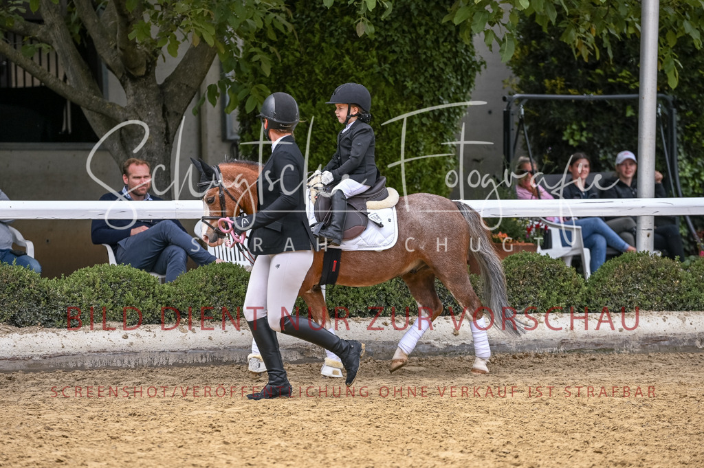 Schugtsche-Aluta25-45.FührzügelWB-72 | Schugtsche Fotografie - Realisiert mit Pictrs.com