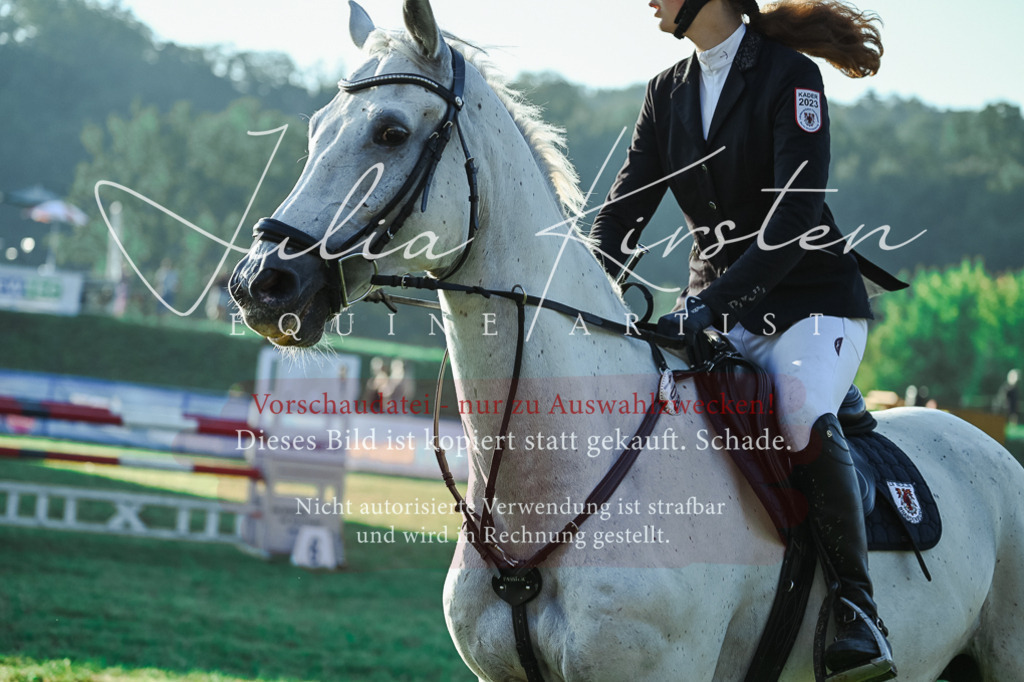 DSC_4028 | Pferde- und Turnierfotografie in Westsachsen. Pferdeportraits, Auftragszeichnungen und intuitive Kunst.