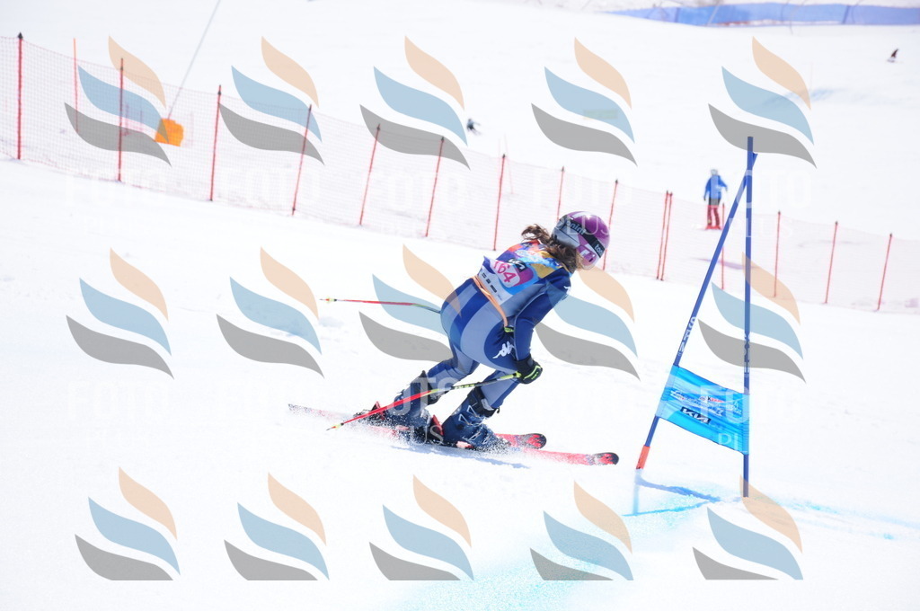 DSC_5423 | holidayphoto