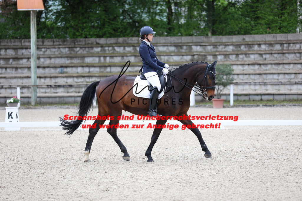 A40A0790 | lmwpictures - Realisiert mit Pictrs.com