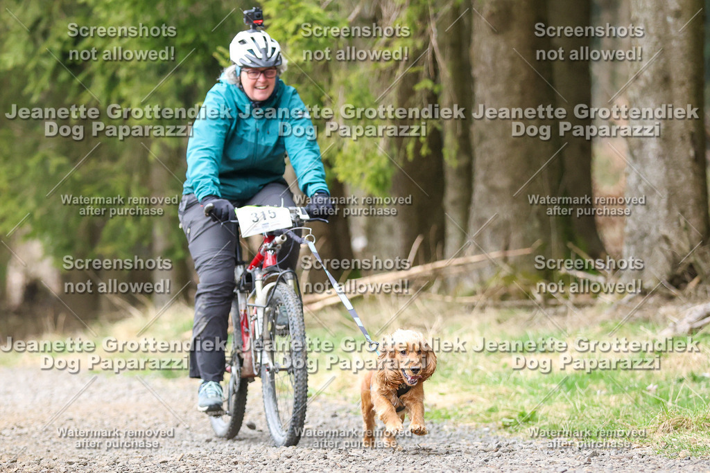 Dog Paparazzi - VCC26-604 | Dog Paparazzi Jeanette Grottendiek Fotografie & Videografie - Realisiert mit Pictrs.com