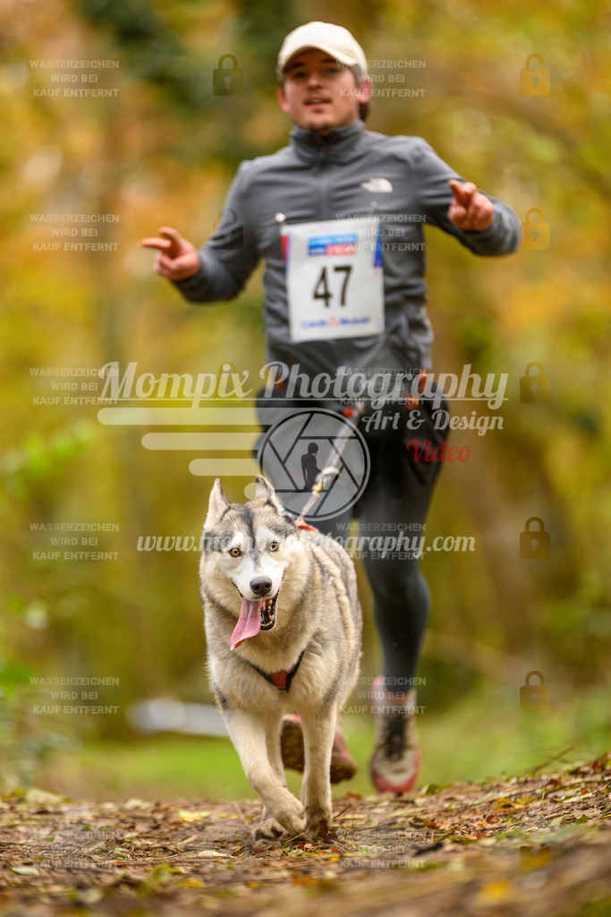 MompixPhotography_Bischwiller24_SA_Canicross-43 | PayLife