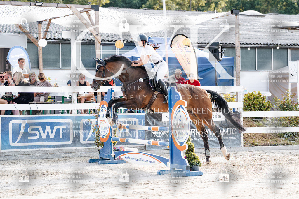 CK906423 | Turnierfotografie Pferdefotografie Trier Rheinland-Pfalz Pferdesport Reitsport Tierfotografie Sportfotografie Pferdevideo Pferdevideografie Equestrianvideography equestrianphotography  - Realisiert mit Pictrs.com