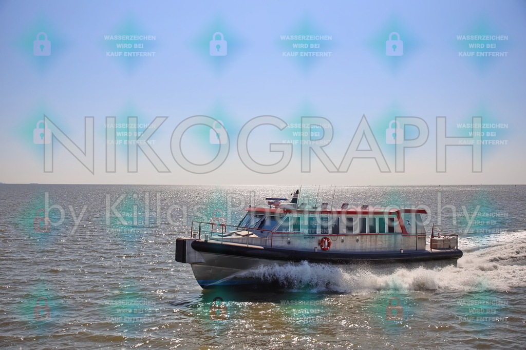 Schnellfähre "Esonborg" | Die Schnellfähre "Esonborg" wurde 2018 in Makkum fertiggestellt und verbindet seit dem März 2018 die Nordseeinsel Ameland mit dem Fährhafen von Holwert auf dem niederländischen Festland. Die Schnellfähre kann 48 Passagiere mit einer Geschwindigkeit von ca. 40 km/h transportieren.