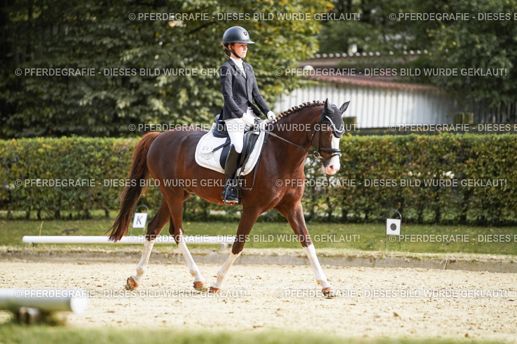 DSC05077 | Pferdegrafie