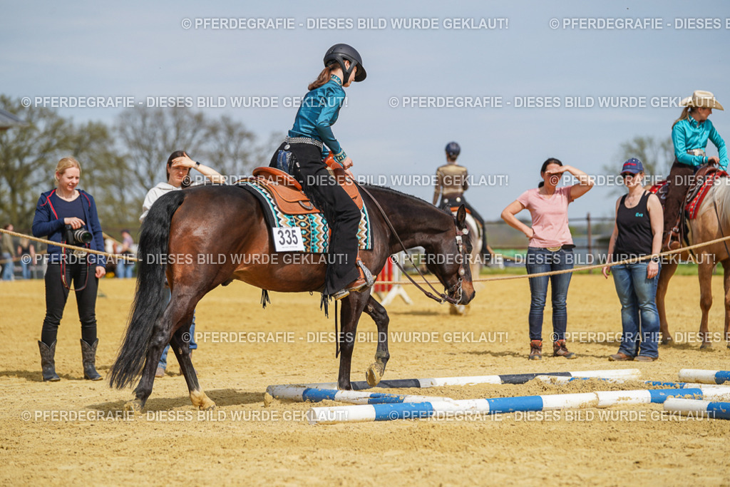 DSC04289 | Pferdegrafie