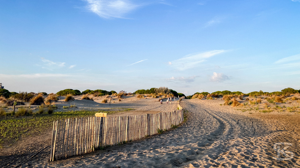 Idyllischer Dünenweg am Strand der Camargue – Südfrankreich | Sandiger Dünenpfad mit Holzzäunen in der Camargue bei Sonnenuntergang - Realisiert mit Pictrs.com