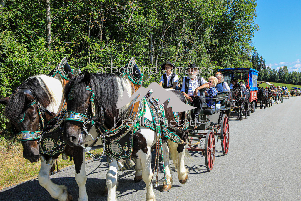 OE7A5539 | Seit Jahrzehnten gibt es diese eindrucksvolle Pferdeveranstaltung der Pferdefreunde Rinchnach. Der Ursprung, bei der Gedächtnisfahrt an bereits verstorbene Pferdefreunde zu erinnern ist bis heute geblieben.