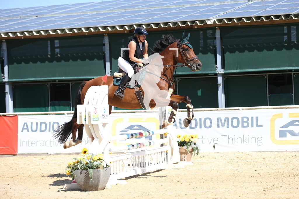 DL2Q8537 | Willkommen bei Brunnmayr - Design & Fotografie – Ihrem Spezialisten für Reitturniere und Pferdeveranstaltungen in Oberösterreich, Salzburg und Bayern! Seit über 17 Jahren sind wir leidenschaftlich dabei.