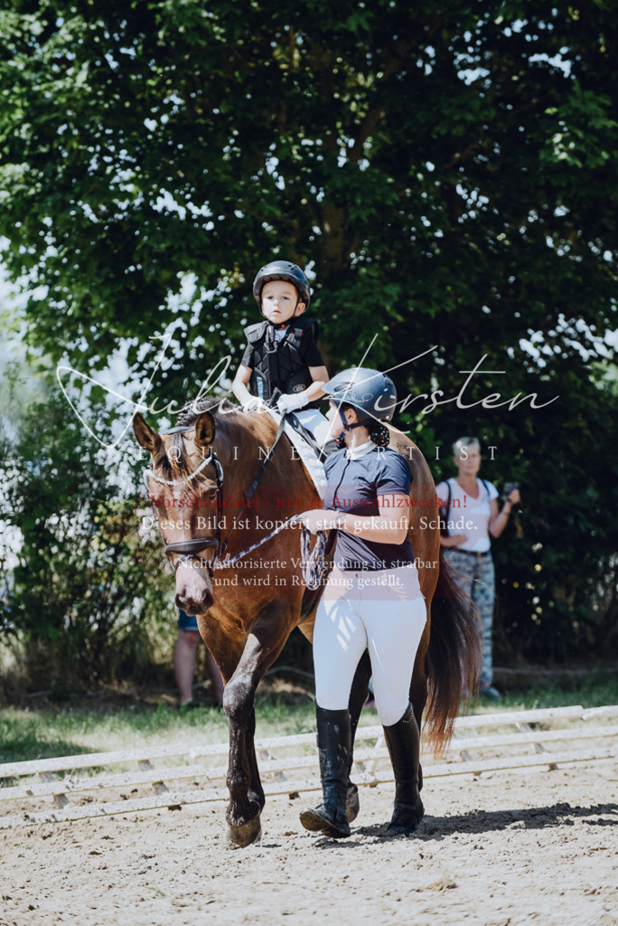 DSC_2490 | Pferde- und Turnierfotografie in Westsachsen. Pferdeportraits, Auftragszeichnungen und intuitive Kunst.