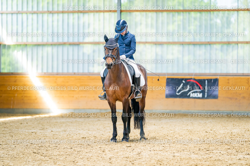 DSC08216 | Pferdegrafie