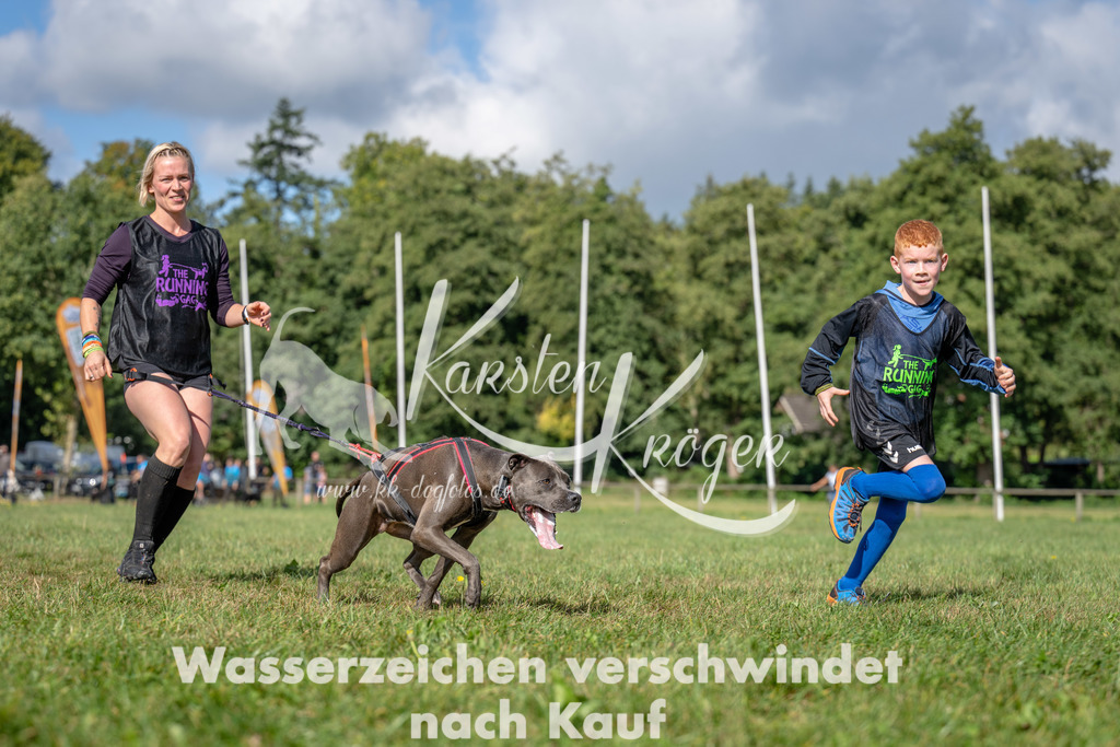 1119_ZZ94624 | kk-dogfotos