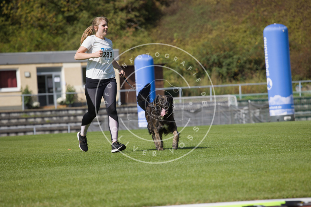 0L8A2537 | Hundefotografie, Tierfotograf, Pfotenfotografie, Fotoshooting Hund, Hunde Portrait, Hundesport, Hundeportraits, Heideshooting, Hunde, Sportfotograf, Hundefotograf, Turnierhundsport, THS,  - Realisiert mit Pictrs.com