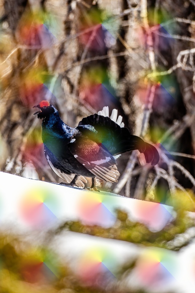 1M5A7594 | FineArtPrint, Hahnemühle, FeeGalerie, Fee Galerie, Fotokunst, Fotografie, Canonphotography, Bergfoto, Matterhorn, Rimpfischhorn, Allalinhorn, Saas-Fee, Wallis, Valais, Switzerland, Bergfotografie