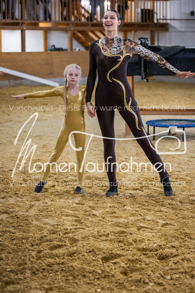 Holzpferd-042 | MomenTaufnahmen Pferdesportfotos