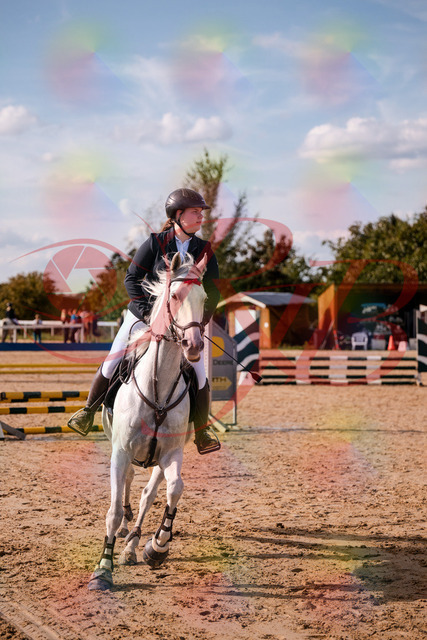 2026_10_03_Siefer-Hof_153908_Z81_53839449 | Professionelle Reitsport-, Turnier- und Eventfotografie von Robert Broda. Galerien mit ausgewählten und bearbeiteten Bildern direkt online ansehen und bestellen.