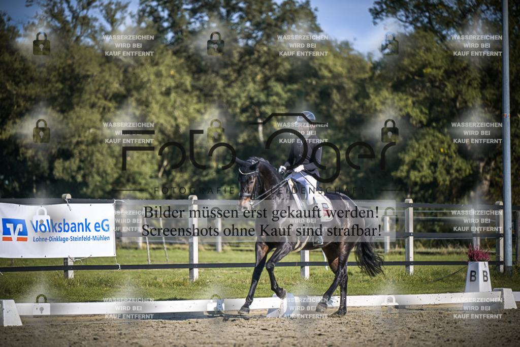 DOS_B863 | Entdecke hochwertige Reitturnierfotos von Foto Oger. Professionell, emotional und authentisch – jetzt Lieblingsmomente im Shop bestellen.Deutschlandweite Turnierfotografie. - Realisiert mit Pictrs.com
